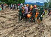 Diduga Korban Banjir Bandang Lubuk Alung Ditemukan di Aliran Batang Anai