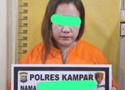 Cinta Terlarang Berakhir di Sel Tahanan, Wanita Muda Aniaya Istri Sah hingga Luka Berat