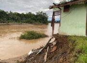 Abrasi di Batang Anai, Tujuh Rumah Ambruk Belasan Lain Terancam Runtuh