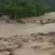 Sungai Batang Pasaman meluap dengan aliran air berwarna coklat pekat usai hujan deras mengguyur Pasaman Barat. (Ist)
