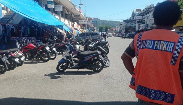 Target PAD Parkir Padang 2026 Naik 58 Persen, Dishub Bidik Rp5,4 Miliar