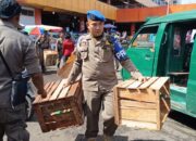 Satpol PP Padang Tegaskan Barang PKL Hanya Diamankan Sementara