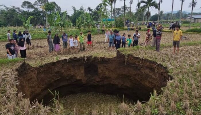 Lubang Besar Muncul di Tengah Sawah Warga Situjuah Batua