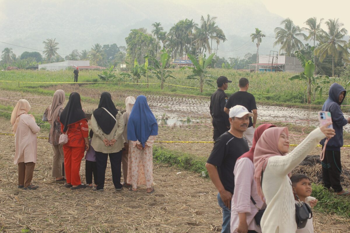 Pengunjung berswafoto di sekitar area persawahan terdampak fenomena sawah luluih di Nagari Situjuah Batua, Kabupaten Limapuluh Kota, Sumatra Barat, Selasa (6/1/2025). (Foto: INGATLAH/ Rudi Juliant)