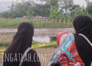 Heboh Sinkhole di Situjuah Batua, Warga Diimbau Tak Percaya Isu Air Keramat