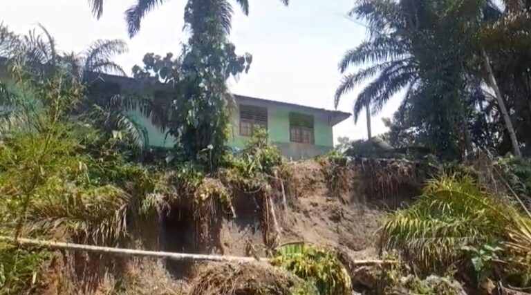 Kondisi tebing Sungai Batang Kenaikan di belakang bangunan MTsN 7 Pasaman Barat, Nagari Seberang Kenaikan, Kecamatan Gunung Tuleh, Pasaman Barat, yang mengalami abrasi parah akibat perubahan aliran sungai. (Foto: singgalang)