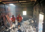 Gudang Kasur Terbakar di Kuranji Kota Padang