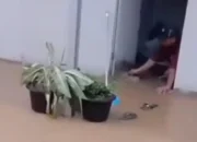 Baru Diresmikan, Huntara Kayu Pasak Palembayan Agam Terendam Banjir