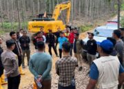 Ditemukan Mati di Pelalawan, Gajah Sumatera Diperkirakan Berusia 30 Tahun Lebih