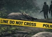 Gajah Diracun hingga Ditembak, Gading Jadi Target Utama Pemburu Liar
