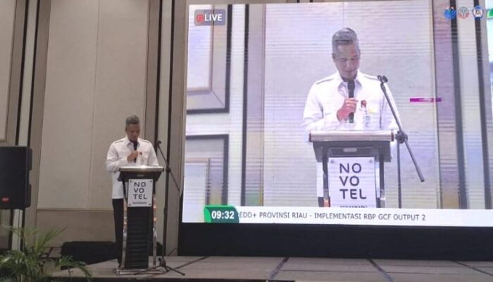 Pemprov Riau Perkuat REDD+ Yurisdiksi Tekan Emisi Karbon