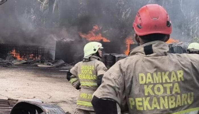 Si Jago Merah Mengamuk di Sidodadi Pekanbaru, Begini Kata Polisi