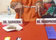 Pemakai Ganja 4,12 Gram Diciduk di Salo, Satresnarkoba Polres Kampar Amankan Motor dan HP Pelaku