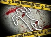 Terungkap, Pelaku Aniaya Ibu di Tualang Punya Riwayat Gangguan Jiwa