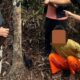 Inilah salah satu terduga pelaku dan senpi yang digunakan untuk membunuh gajah di Pelalawan Riau.(ist)