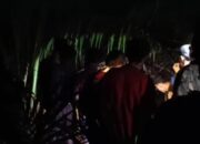Lansia Hilang Saat Cari Madu di Pessel Ditemukan Selamat