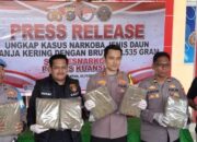Satresnarkoba Polres Kuansing Bongkar Jaringan Ganja Lintas Daerah, 22,5 Kg Barang Bukti Disita