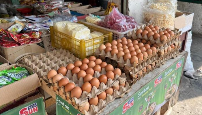 Harga Telur dan Minyak Kita di Pasar Sail Pekanbaru Stabil, Minyak Goreng Turun