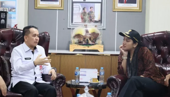 Bupati Dharmasraya Matangkan Rencana Pendirian BUMD Melalui Audiensi ke Kemendagri