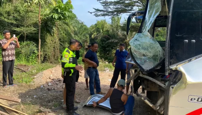 Bus Palala Tabrak Truk di Jalinsum Sijunjung, Penumpang Selamat