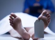 Teriakan Minta Tolong Ungkap Tragedi Ibu Tewas di Tualang Siak