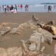 Malin Kundang di pantai Air Manis Kota Padang. (Foto: Antara)