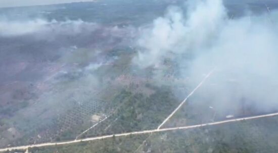 62 Sekolah di Pelalawan Diliburkan Akibat Kabut Asap