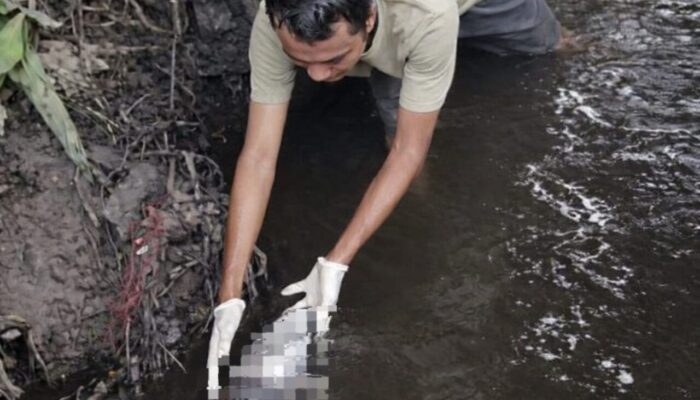 Terungkap! Bayi yang Ditemukan Mengapung di Parit Panam Ternyata Berjenis Kelamin Perempuan