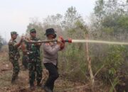 Padamkan Karhutla di Dumai, Dansat Brimob Polda Riau Pimpin Turun Langsung ke Lapangan