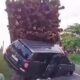Truk Gagal Menanjak Hantam Innova di Lirik, Kerugian Rp50 Juta Tanpa Korban Jiwa.