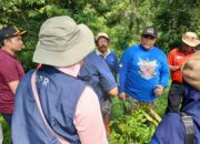 Akses Baru Batu Gadang–Baringin–Padang Besi Didorong Verry Mulyadi, Warga Sampaikan Terima Kasih