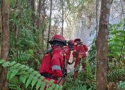 Empat Regu Manggala Agni Berjibaku Jinakkan Karhutla di Bengkalis