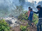 Polres Bengkalis Gerak Cepat, Pelaku Pembakaran Lahan di Pedekik Ditangkap