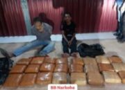 Bareskrim Gagalkan Penyelundupan 23 Kg Ganja di Rohul, 2 Kurir Ditangkap