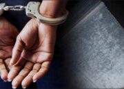 Empat Pelaku Narkoba Diciduk di Tambang Kampar dalam 24 Jam, Polisi Sita Belasan Paket Sabu