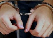 Residivis Narkoba Ditangkap di Kebun Sawit Tapung, Warga Sumber Makmur Apresiasi Gerak Cepat Polisi