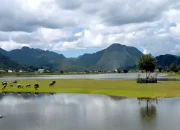 Menikmati Keindahan Danau Tarusan Kamang Sepanjang Musim