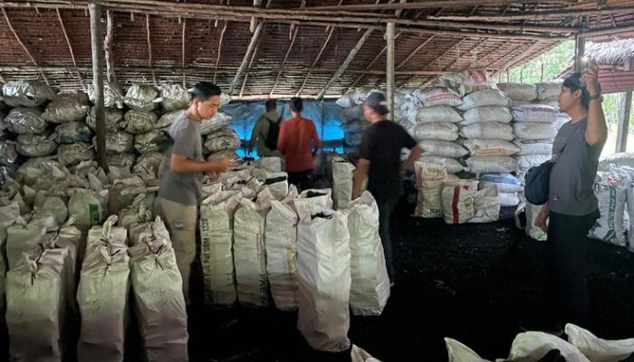 Polda Riau Sita 100 Ton Arang Terkait Kasus Perusakan Mangrove di Meranti