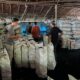 Polda Riau Sita 100 Ton Arang Terkait Kasus Perusakan Mangrove di Meranti