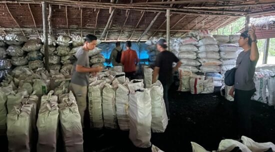 Polda Riau Sita 100 Ton Arang Terkait Kasus Perusakan Mangrove di Meranti
