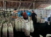 Terungkap! Ini Identitas dan Peran 3 Tersangka Perusakan Mangrove di Meranti