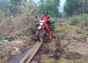 Karhutla Kembali Mengamuk di Pelalawan, 4 Hektare Lahan di Kuala Kampar Terbakar