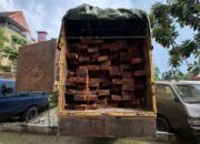 Bongkar Dugaan Illegal Logging di Cagar Biosfer Giam Siak Kecil, Polda Riau Sita 10 Kubik Kayu Ilegal