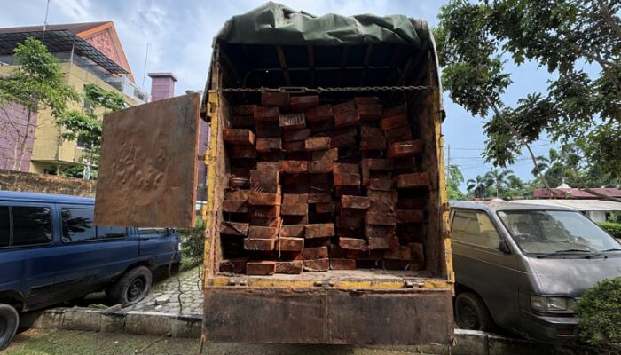 Bongkar Dugaan Illegal Logging di Cagar Biosfer Giam Siak Kecil, Polda Riau Sita 10 Kubik Kayu Ilegal