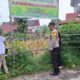 Bhabinkamtibmas Polsek Sukajadi Monitoring Tanaman Jagung Pipil Program Ketahanan Pangan Nasional