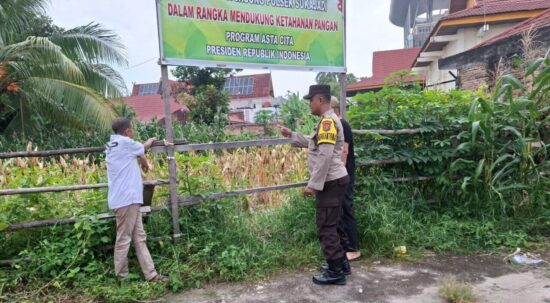 Bhabinkamtibmas Polsek Sukajadi Monitoring Tanaman Jagung Pipil Program Ketahanan Pangan Nasional