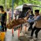2 JCH Riau Wafat di Batam, Biaya Pemulangan Ditanggung Maskapai