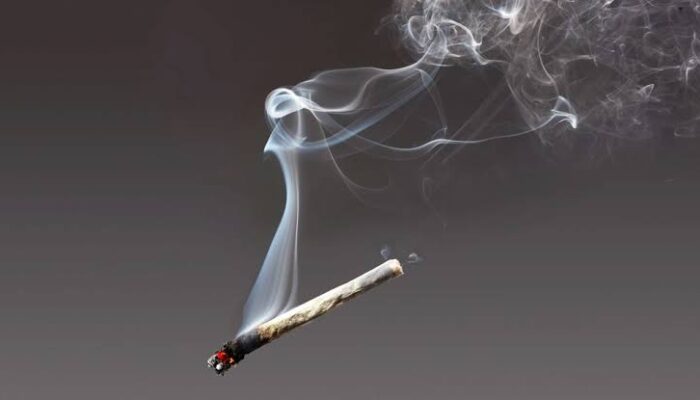 Kok Bisa Positif Ganja Padahal Tak Mengisap? Ini Penjelasan Dokter