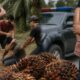 Polisi Tegaskan Kasus Pengeroyokan dan Dugaan Pencurian Sawit di Kampar Diproses Terpisah