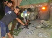 Terungkap! Ini Identitas Pemotor Wanita yang Tewas di Jalintim Pelalawan